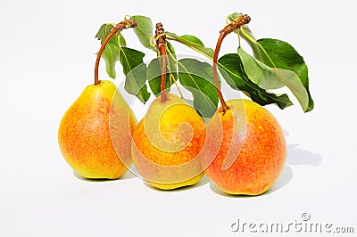 Closeup on Juicy Three Fresh Red and Yellow Pears Isolated on White Background Stock Photo