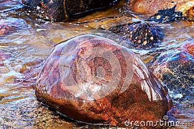 Closeup of large wet rock on the algal shore Stock Photo