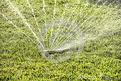 Closeup of lawn water sprinkler spraying water on healthy green grass in summer Stock Photo