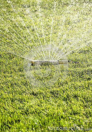 Closeup of lawn water sprinkler spraying water on healthy green grass in summer Stock Photo