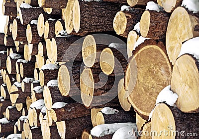 Closeup logs Stock Photo