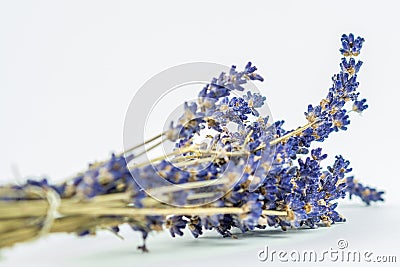 Closeup look of lavander Stock Photo