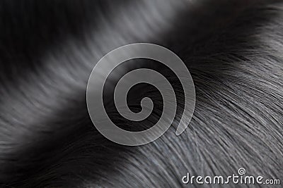 Closeup on luxurious glossy black hair Stock Photo