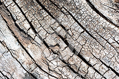 Macro of Aged Vintage Wood Textures Stock Photo