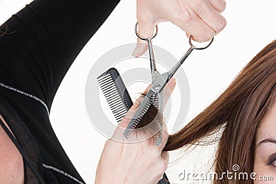 Closeup macro shot image hairstylist hairdresser cut customer woman hair in salon with scissors and comb Stock Photo