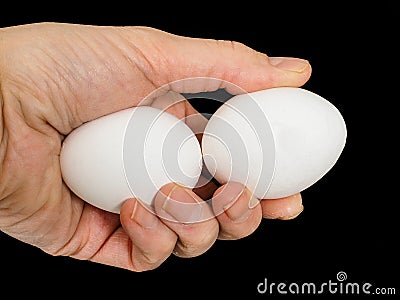 Closeup of a male hand, with a pair of white hen eggs Stock Photo