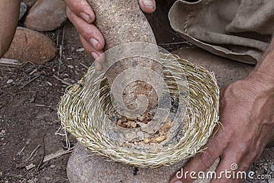 Grinding acorns with stone mortar and pestle Stock Photo