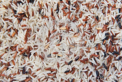 Closeup Mixed White and brown rice, colorful rice grain for background Stock Photo