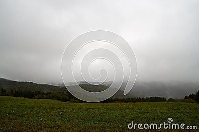 Closeup of mystical fog forest. Mist and low hanging clouds moving through trees Stock Photo