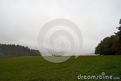 Closeup of mystical fog forest. Mist and low hanging clouds moving through trees Stock Photo
