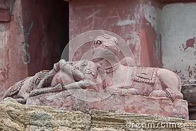 Closeup of nandi at abandoned temple in Dindigul. Editorial Stock Photo