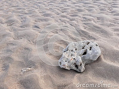 Closeup natural dead white coral on wavy sand Stock Photo