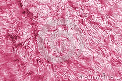 Closeup of Natural Soft Romantic Pastel Pink Animal Fluffy Fur Wool Texture for Luxury Furniture Material or Background Text Stock Photo
