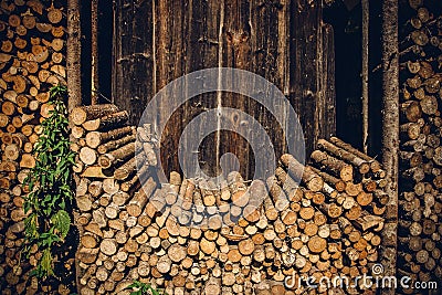 Closeup of a neat pile of chopped tree branches Stock Photo