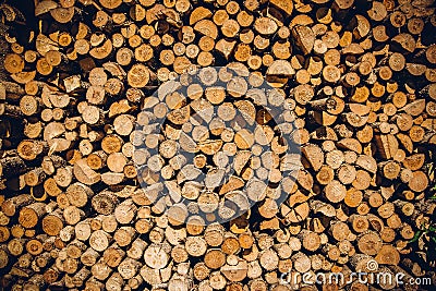 Closeup of a neat pile of chopped tree branches Stock Photo