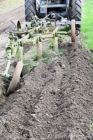 Ploughing with old-time plough with three plow blades Stock Photo