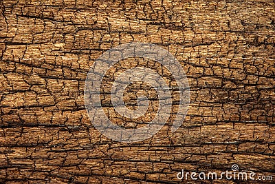 Closeup of Old and Grunge Wooden Texture Surface Background Stock Photo