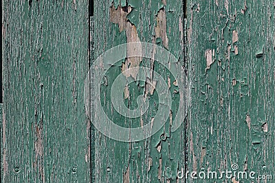 Closeup of old wooden vertical plank background. Aged dark green painted doors, fence. Weathered timber panels. Grunge Stock Photo