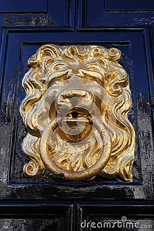 Closeup of one isolated antique old lion head face door knocker with ring at shiny polished black wood door Stock Photo