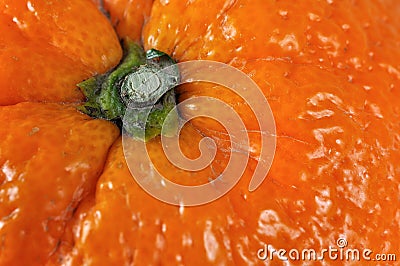 Closeup orange detail Stock Photo