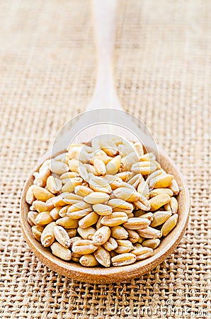 Closeup organic whole grain wheat kernels. Stock Photo