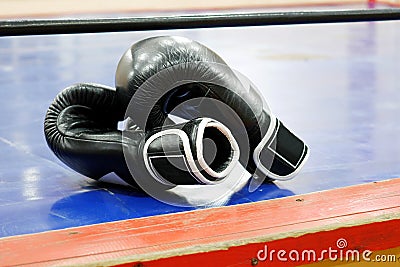 Pair of black boxing gloves on boxing ring canvas Stock Photo