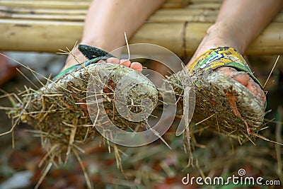 Closeup of pair of dirty sandals full of mud and hay worn by a boy sitting on a bamboo bench. Stock Photo