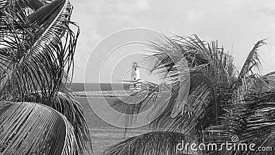 Closeup of Palma leaves moving from a wind sunlit seascape and a lighthouse background Stock Photo