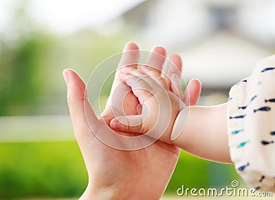 Closeup parent and baby holding hand Stock Photo