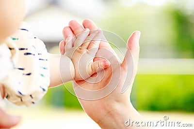 Closeup parent and baby holding hand Stock Photo