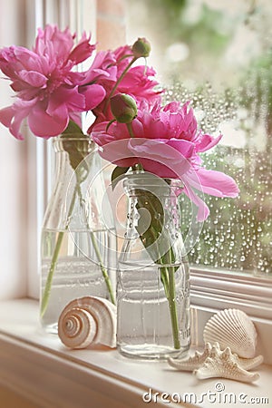 Closeup of peony flowers in milk bottles Stock Photo