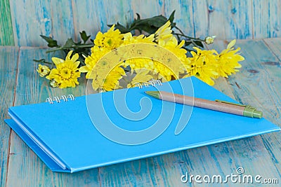 Closeup of a personal agenda Stock Photo