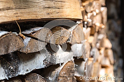 Closeup photo of dry birch logs stacked in rows, illuminated by sunlight. The structure of the tree. Decorative wooden layout. Stock Photo