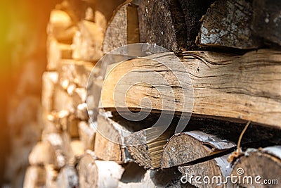Closeup photo of dry logs stacked in rows, illuminated by sunlight. The structure of the tree. Decorative wooden layout. Angle Stock Photo