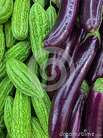 Closeup photo of pile of eggplants and bitter cucumbers Stock Photo