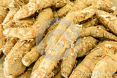 Closeup photo of raw material of cassava Stock Photo