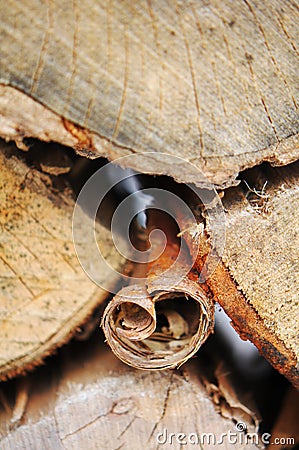 Closeup photograph of curled bark in stacked firewood Stock Photo