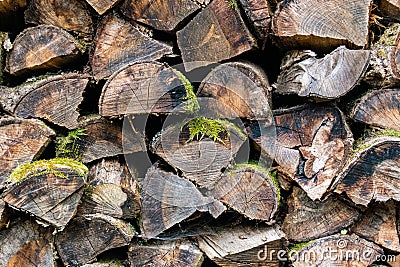 Closeup picture of a pile of wood Stock Photo