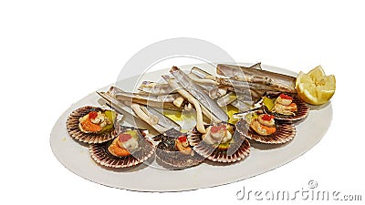 Closeup picture of an plate with different mussels in front of white background Stock Photo