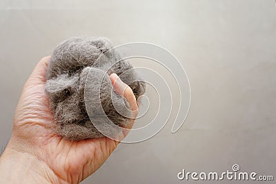 Closeup of a pile of cat fur combed from scottish fold cat Stock Photo