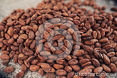 Dried cocoa beans on a chocolate making factory table Stock Photo