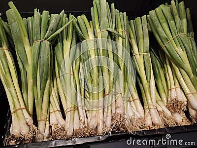 a closeup of a pile of fresh spring onions lying in plastic tubs in the market Stock Photo
