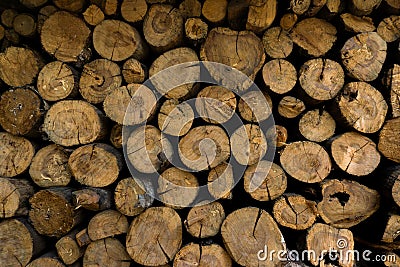 Closeup of a pile of logs showing the cross sections,looking at Stock Photo