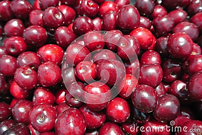 Closeup of a pile of ripe red cherries Stock Photo