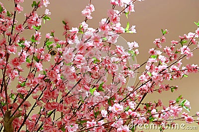 Closeup plastic sakura tree for background ontree branch Stock Photo
