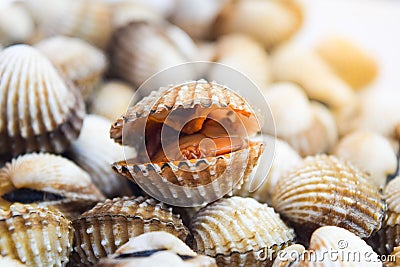 Closeup Poached scallop background Stock Photo