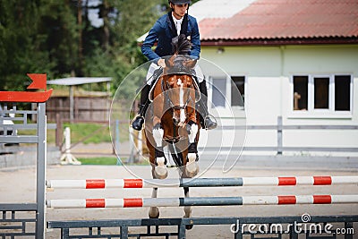 Young gelding horse and adult man rider jumping during equestrian showjumping competition in daytime Stock Photo