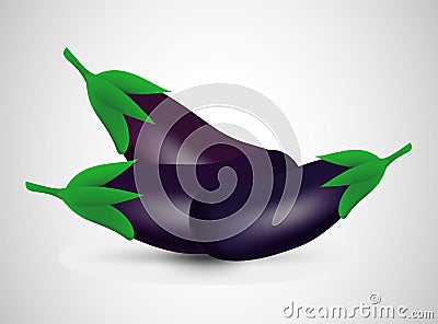 Closeup of purple eggplant on grey background. Vector illustration design. Vegetarian dinner Vector Illustration