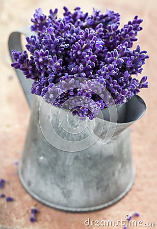 Closeup of purple lavender bouquet Stock Photo