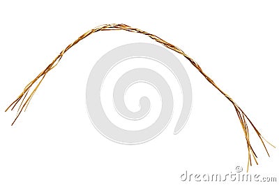 Closeup of raffia rope Stock Photo